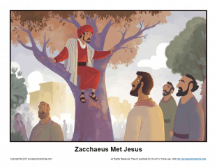 Zacchaeus Met Jesus Story Illustration